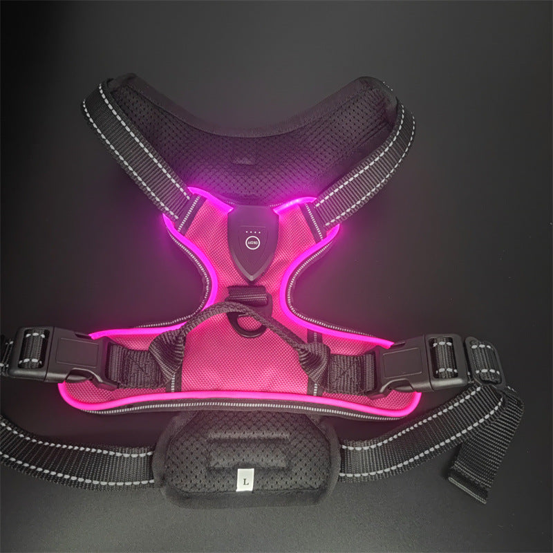 LED Dog Harness