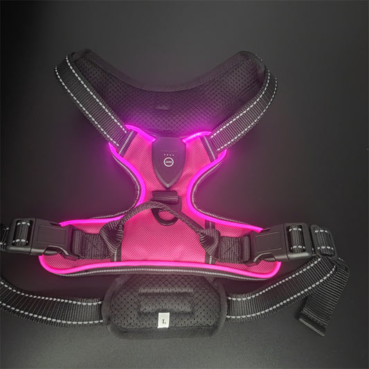 LED Dog Harness