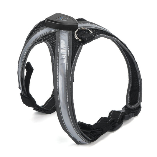 LED dog harness