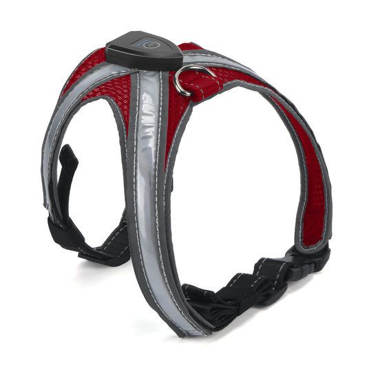 LED dog harness