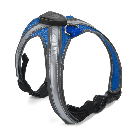 LED dog harness