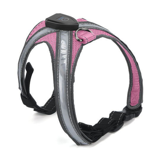 LED dog harness