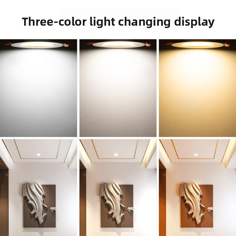 LED Downlight