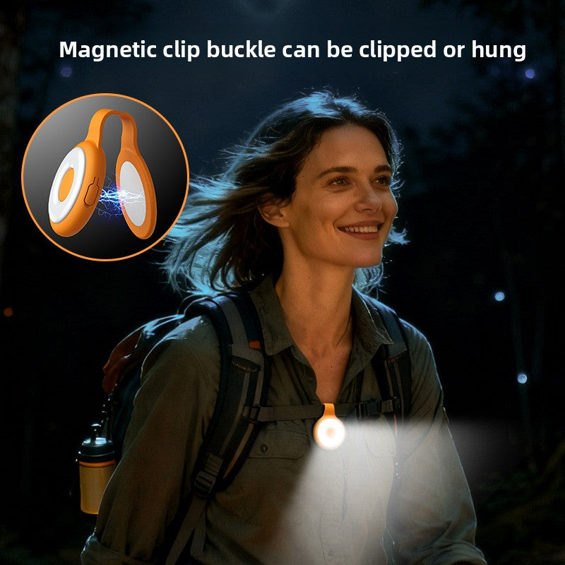 LED fill light