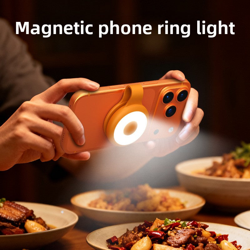 LED fill light