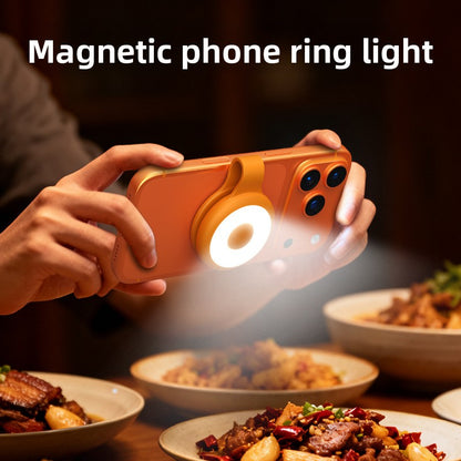 LED fill light