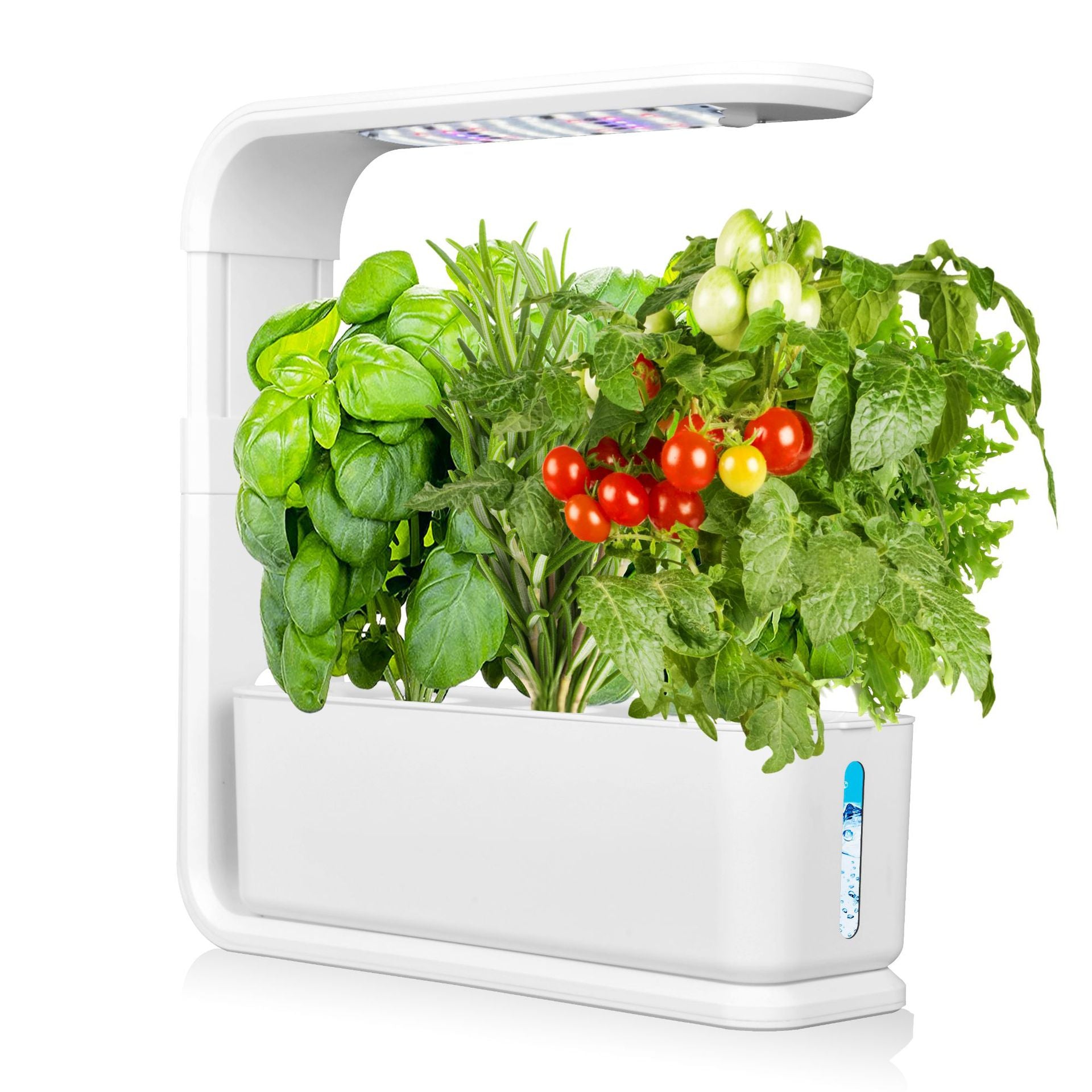 LED Grow Light