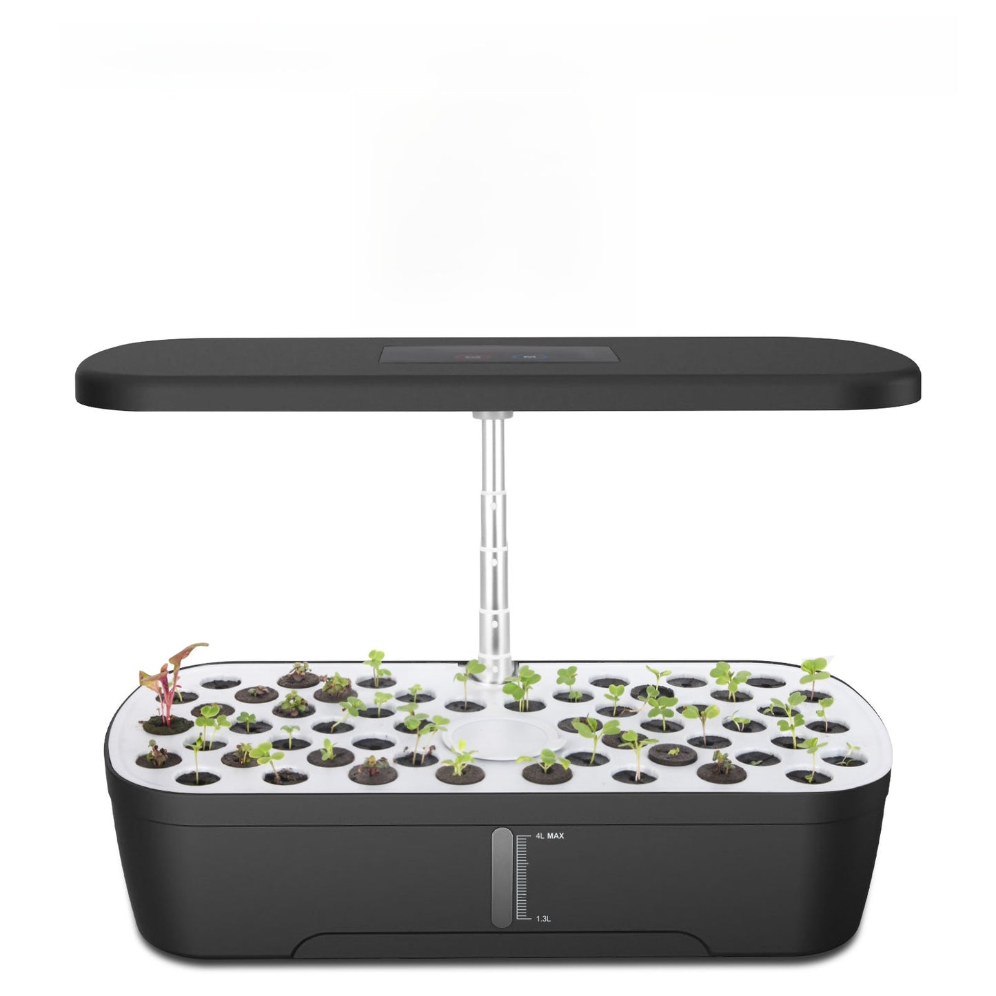 LED Grow Light