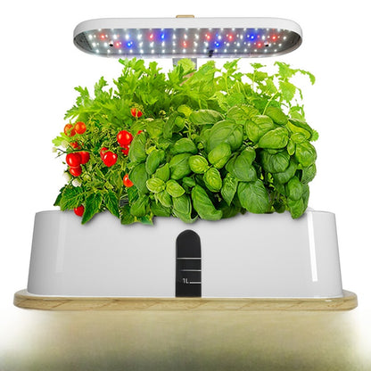 LED Grow Light