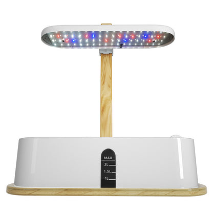 LED Grow Light