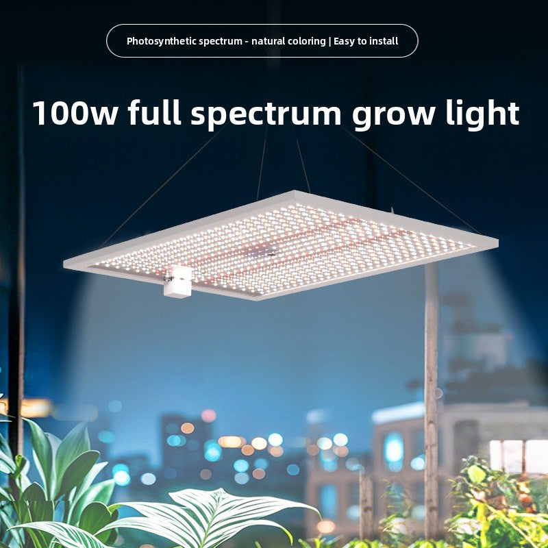 LED Grow Light