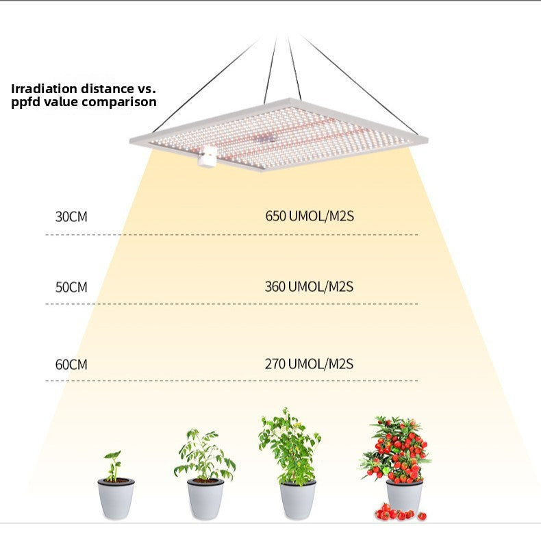 LED Grow Light