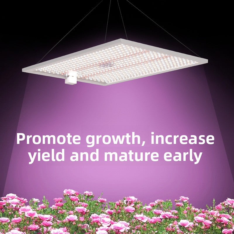 LED Grow Light