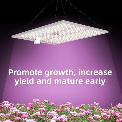 LED Grow Light
