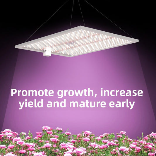 LED Grow Light