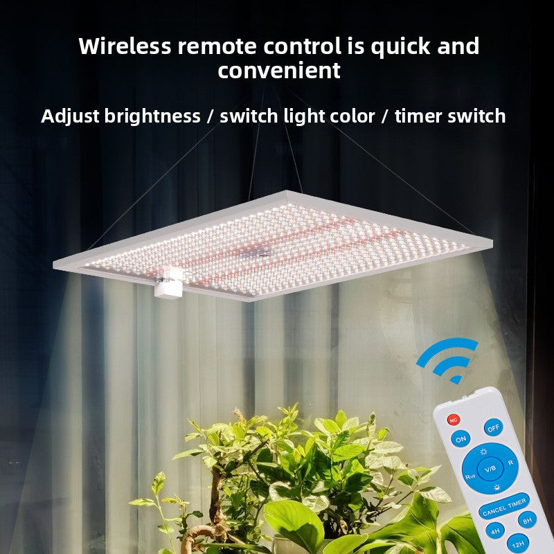 LED Grow Light