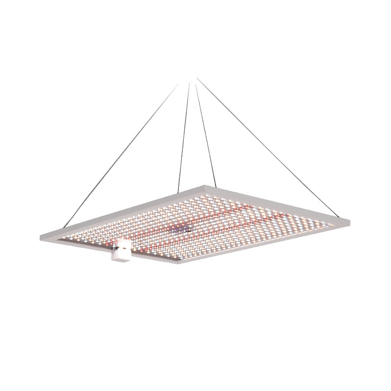 LED Grow Light