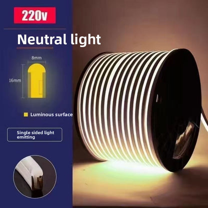 LED high-low voltage flexible neon light