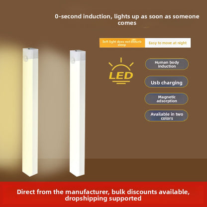 LED human body sensor light