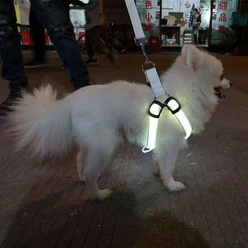 LED Illuminated Dog Harness with Adjustable Strap