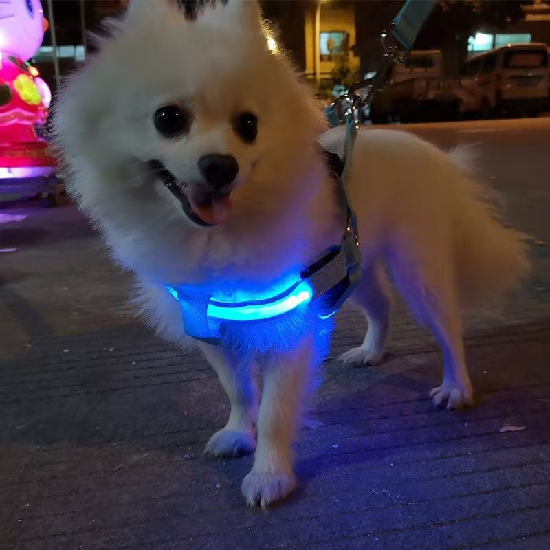 LED Illuminated Dog Harness with Adjustable Strap