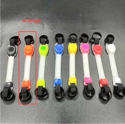 LED Illuminated Pet Safety Collar