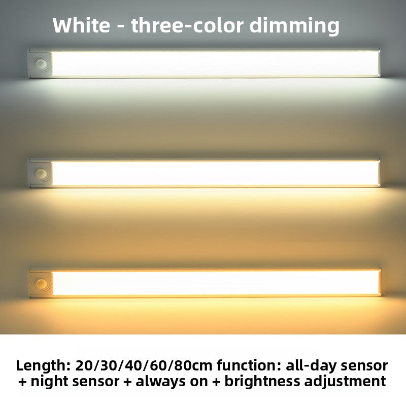 LED Light Strip