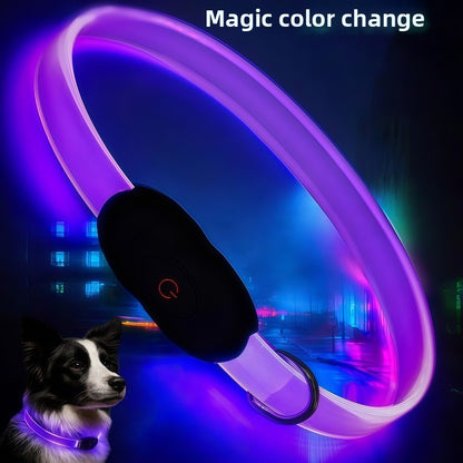 LED Light Up Dog Collar with Reflective Safety