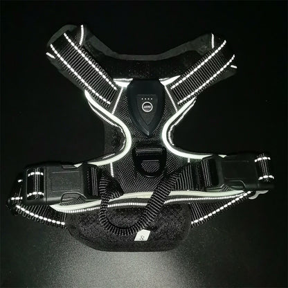 LED Luminous Pet Chest Strap Night Dog Walking Anti-car Accident Adjustable Flash Cat and Dog Vest