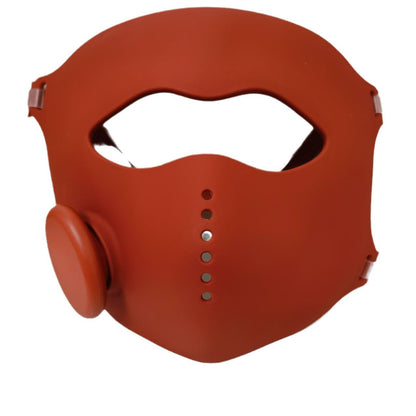 LED magnetic suction infrared beauty device