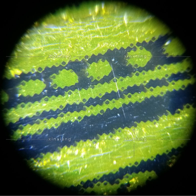 LED magnifying glass