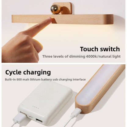 LED mirror light