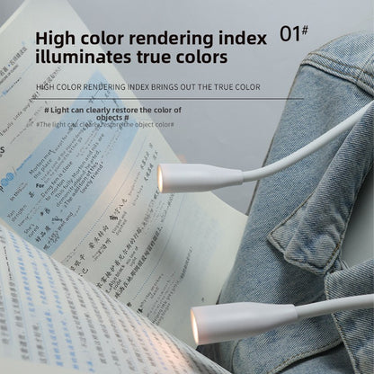 LED neck light