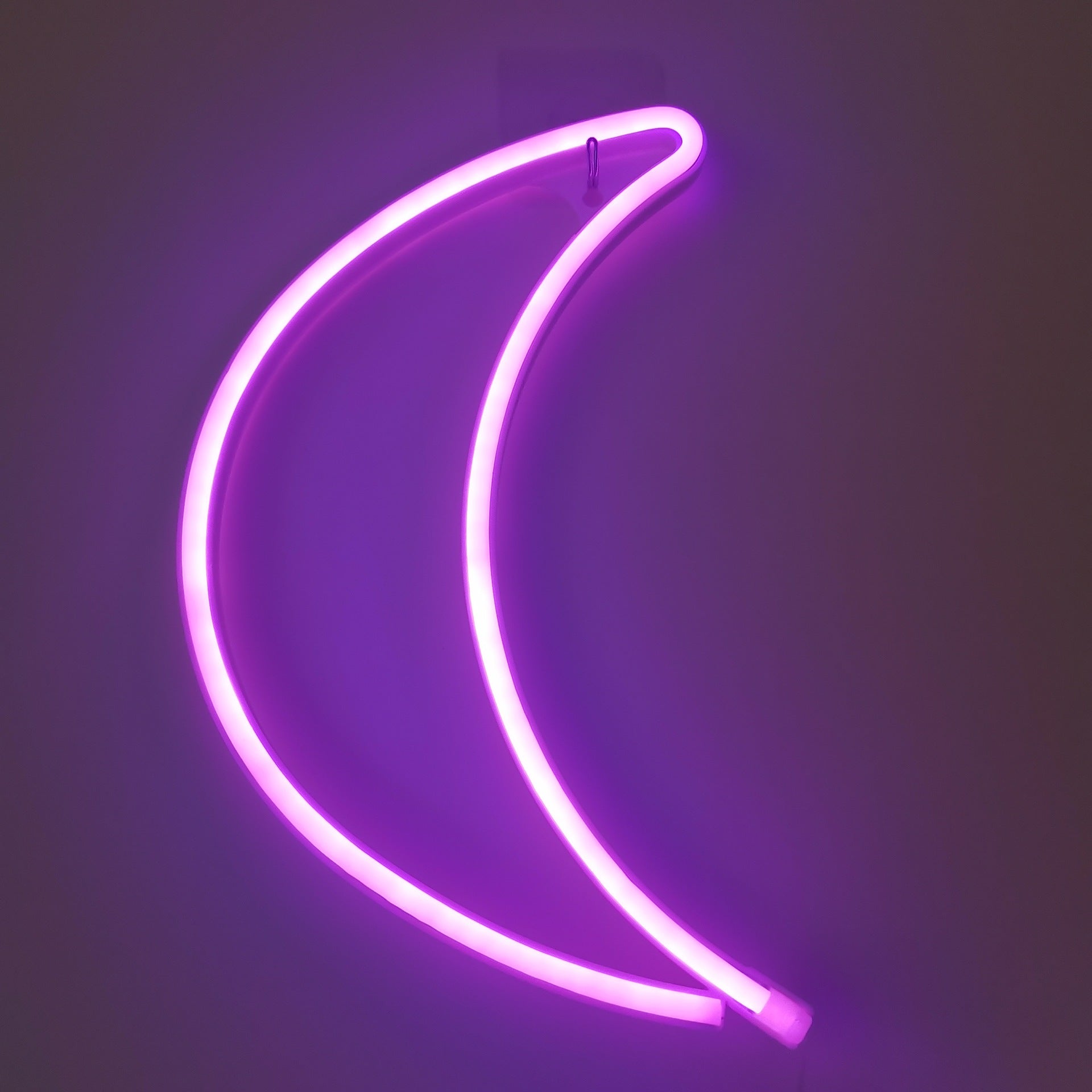 LED Neon Light Space Series Decorative Lamp