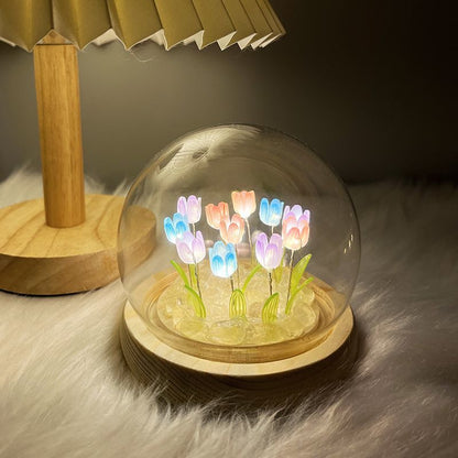 LED Night Light