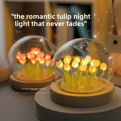 LED Night Light