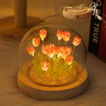 LED Night Light
