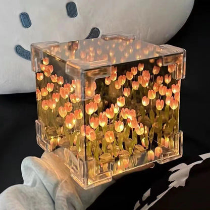 LED Night Light