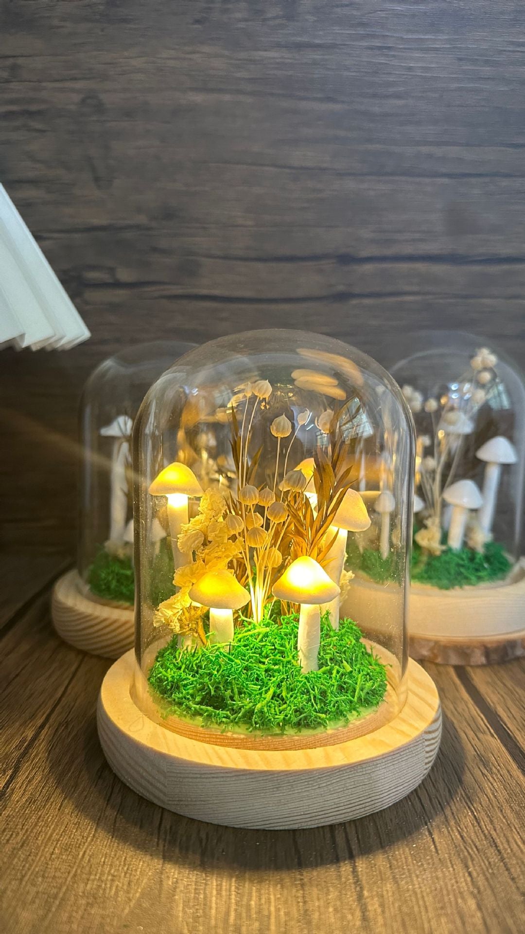 LED night light