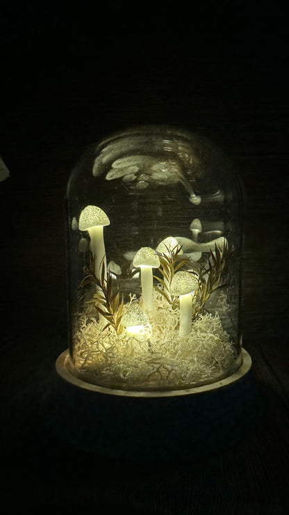 LED night light