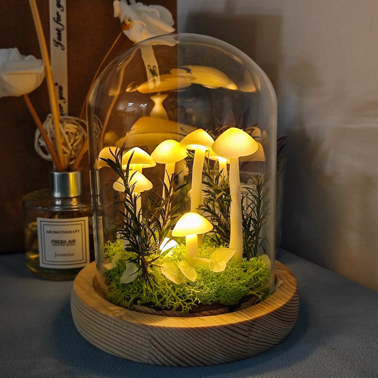LED night light