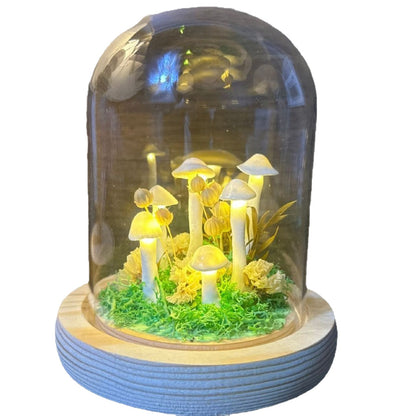 LED night light