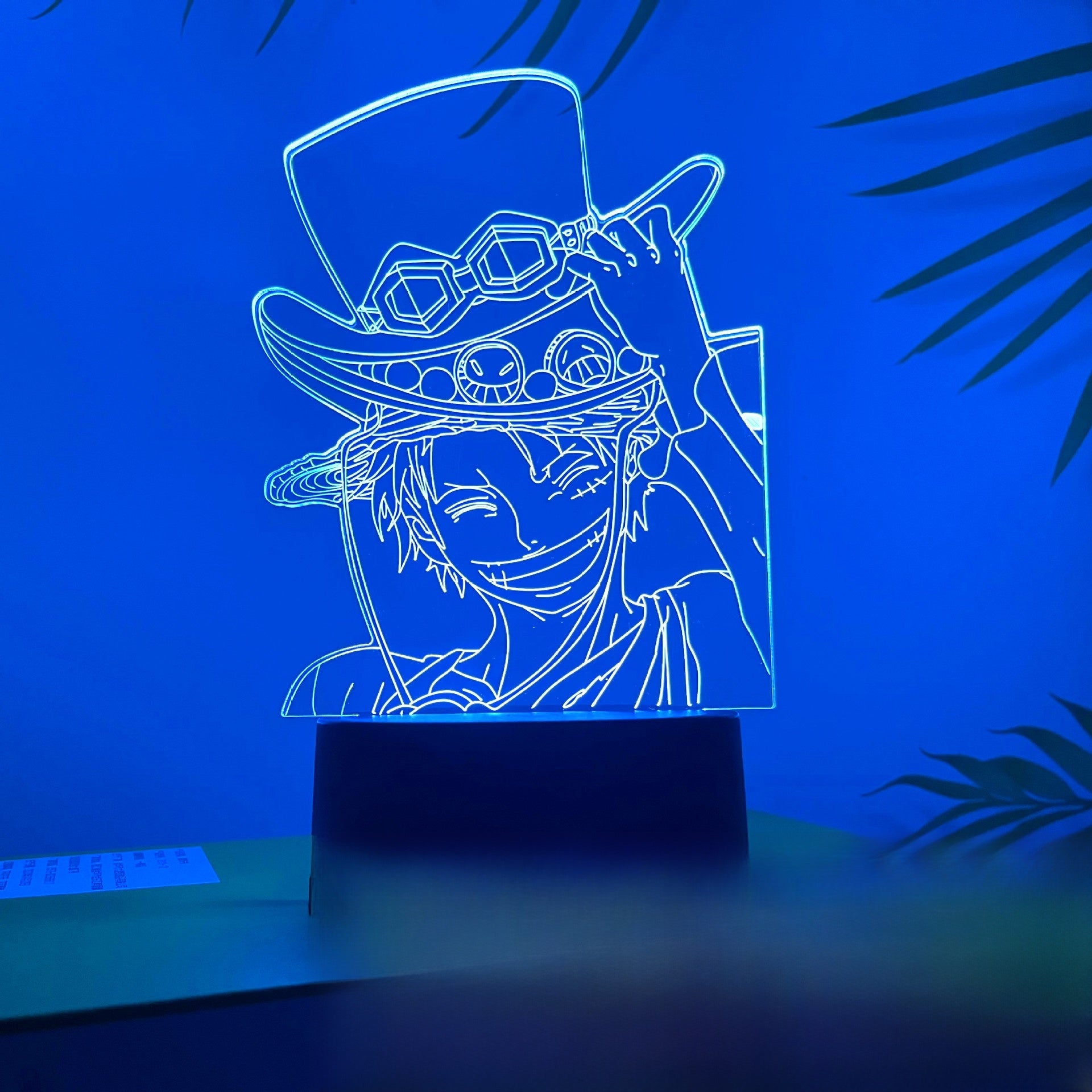 LED night light