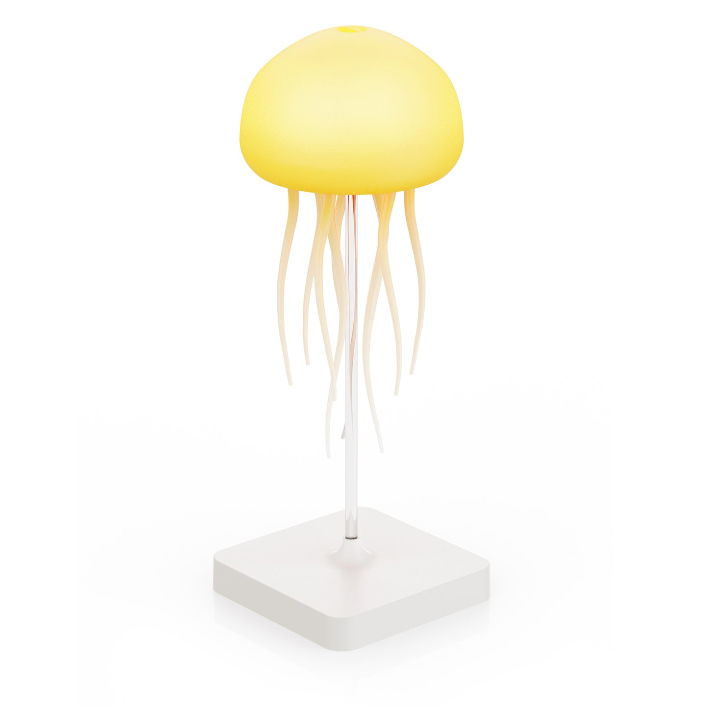 LED night light