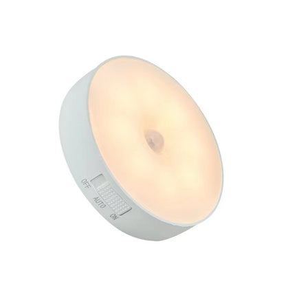LED night light