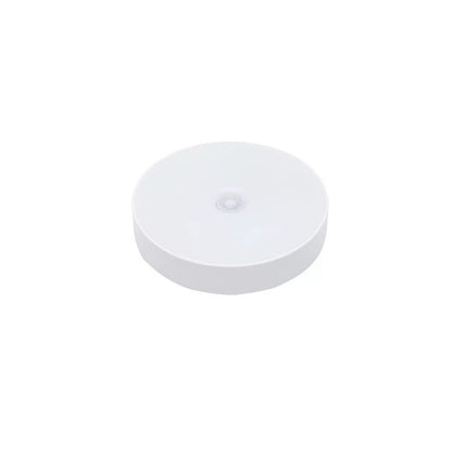 LED night light