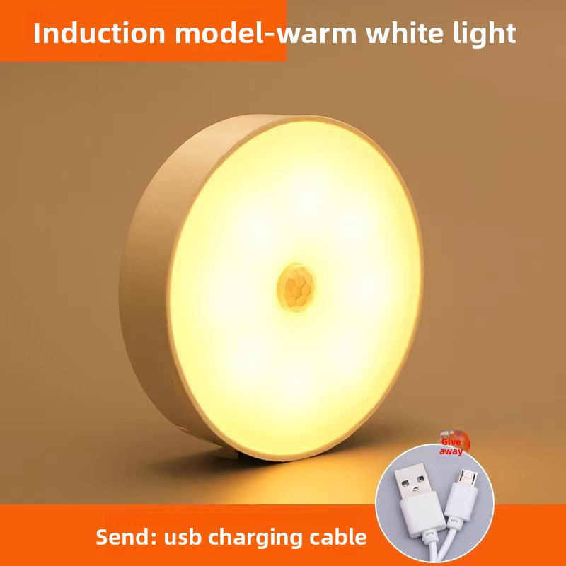 LED night light