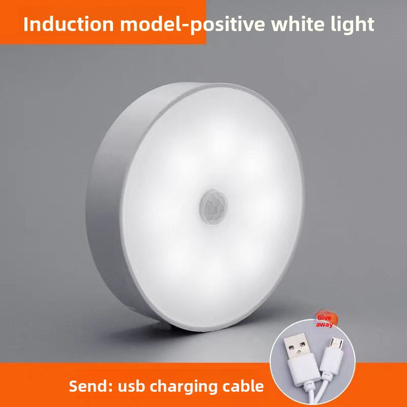 LED night light
