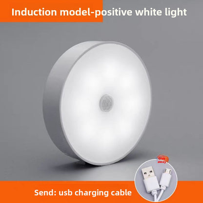 LED night light