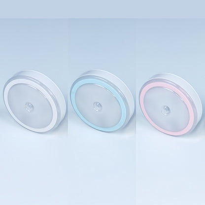 LED Night Light